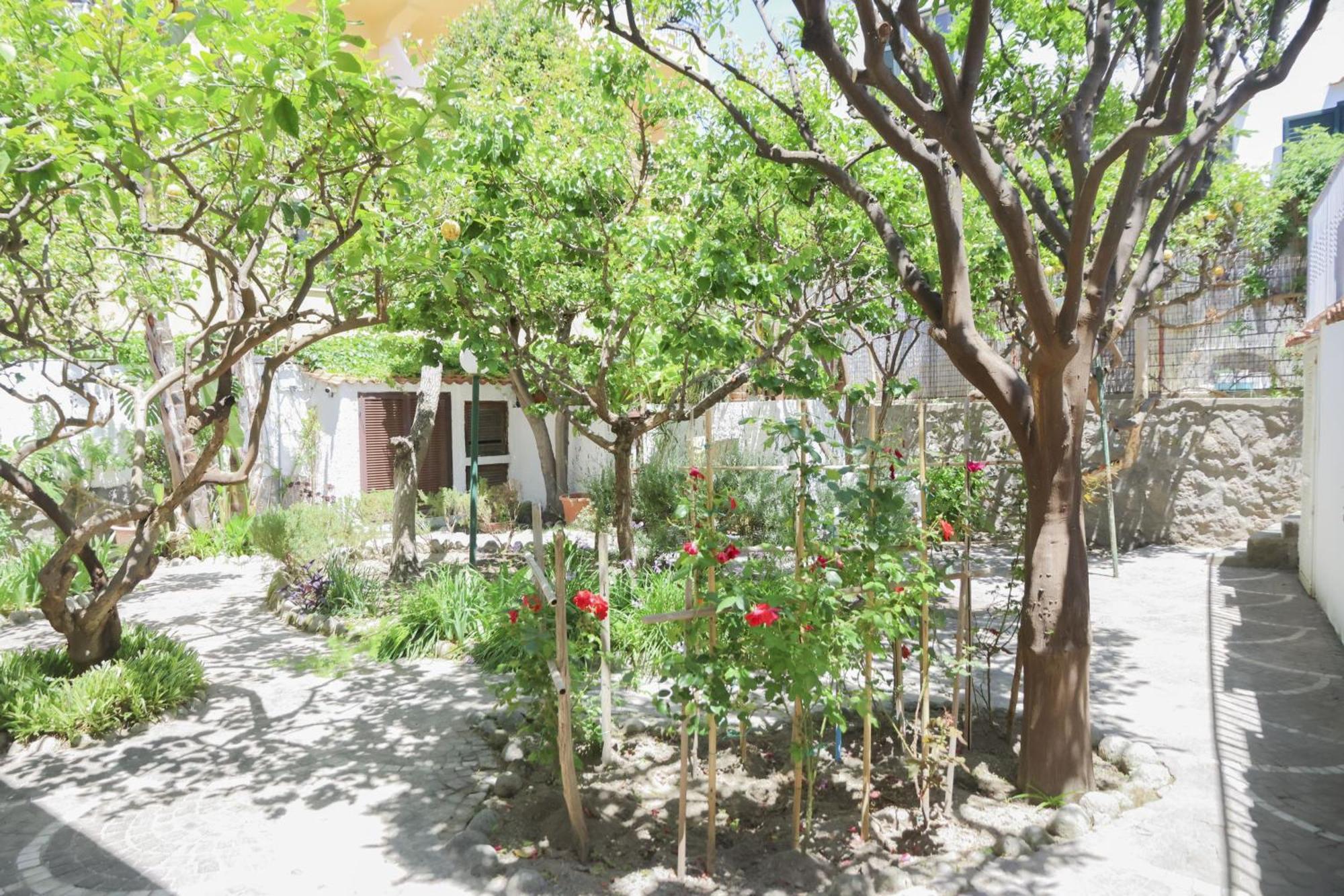 Hotel Cesotta Forio  Ngoại thất bức ảnh
